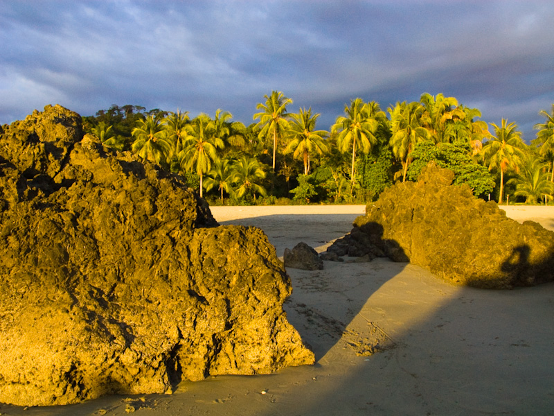Beach Rocks And Palm Tree At Sunset